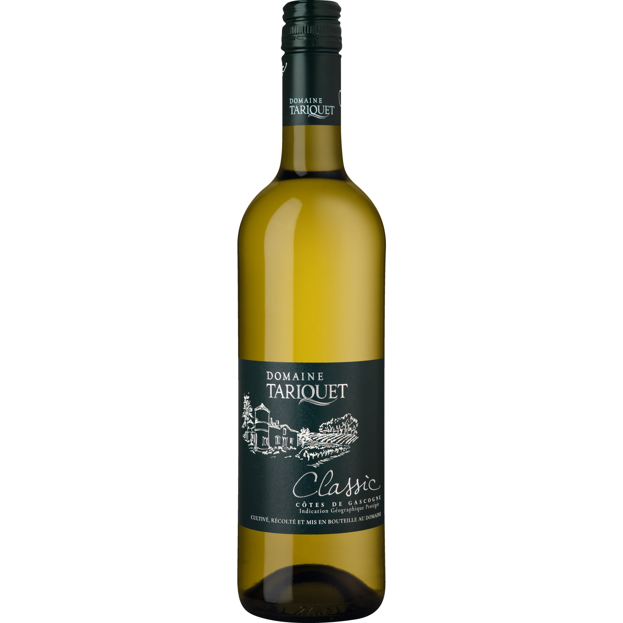 Domaine Tariquet Classic, Côtes de Gascogne IGP, Südwestfrankreich, 2024, Weißwein