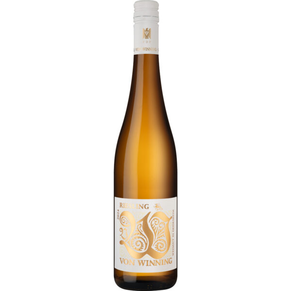 Drache Riesling, Trocken, Pfalz, Pfalz, 2024, Weißwein