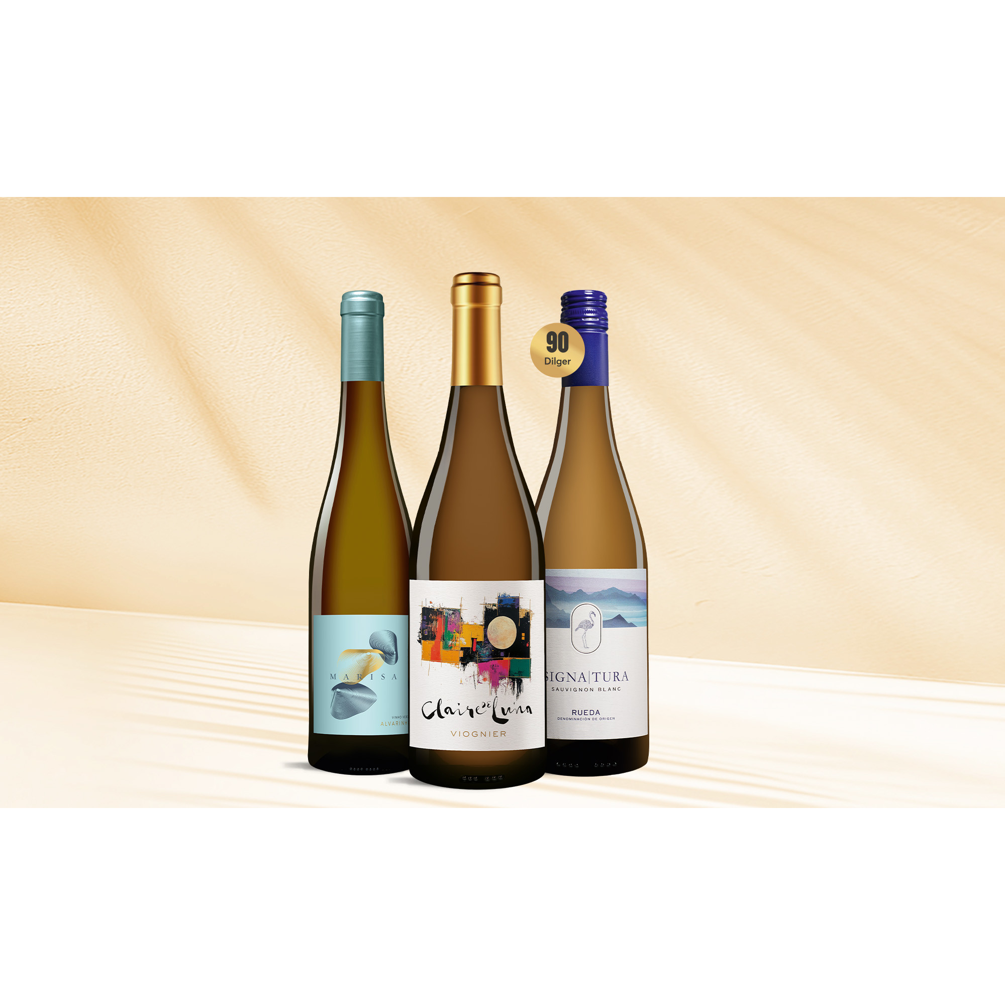 Dreiklang Weißwein-Paket 2.25L Weinpaket aus Spanien