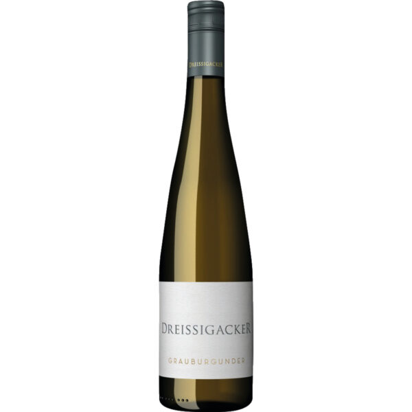Dreissigacker Grauburgunder, Trocken, Rheinhessen, Rheinhessen, 2024, Weißwein