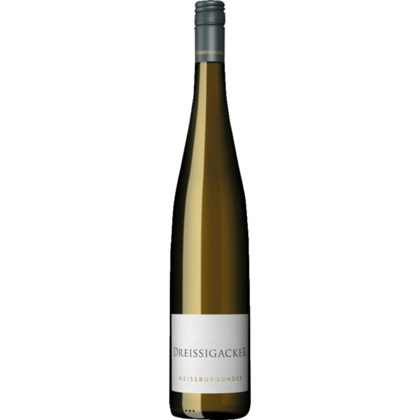 Dreissigacker Weissburgunder, Trocken, Rheinhessen, Magnum, Rheinhessen, 2025, Weißwein