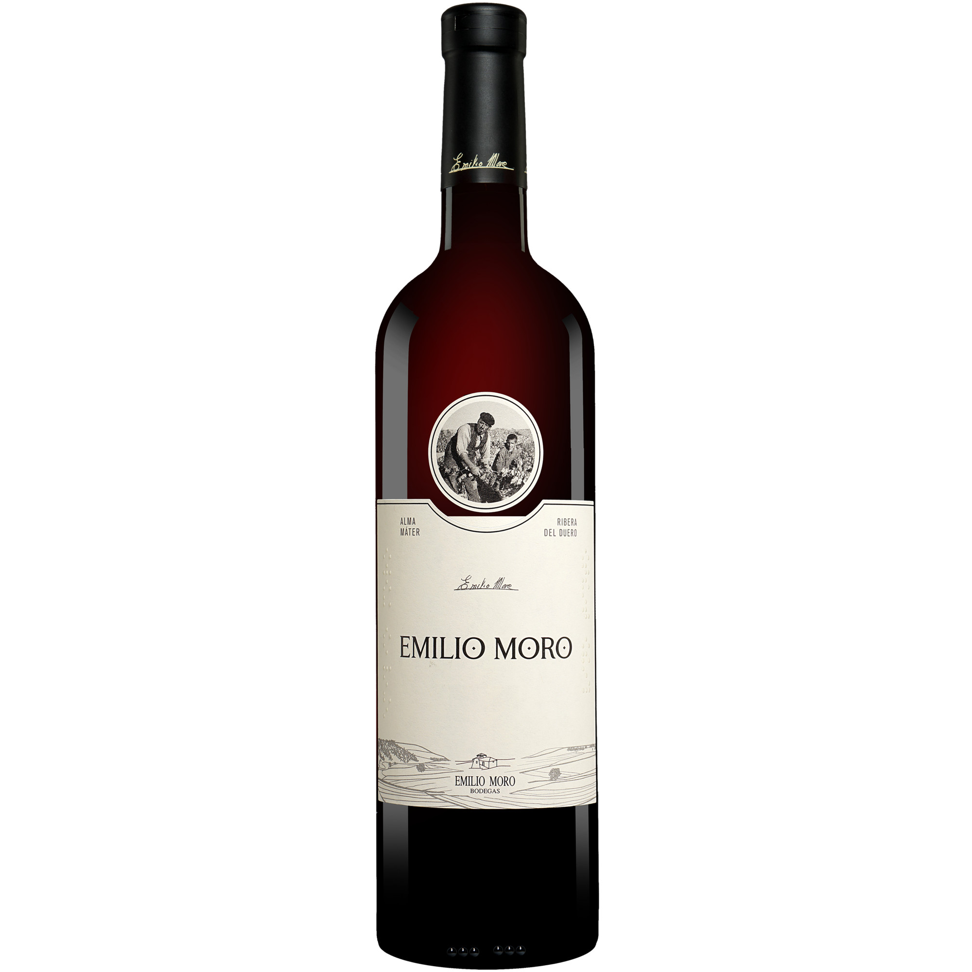 Emilio Moro 2023 0.75L 14.5% Vol. Rotwein Trocken aus Spanien