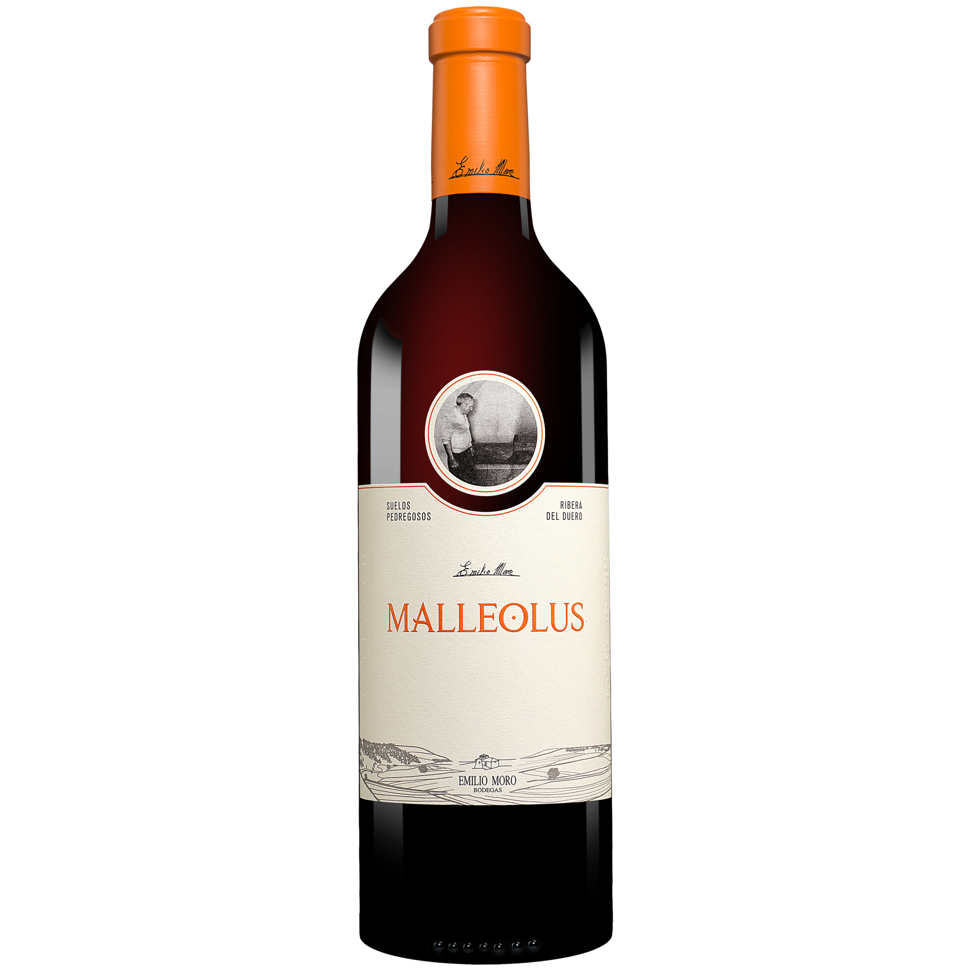 Emilio Moro »Malleolus« 2023 0.75L 14.5% Vol. Rotwein Trocken aus Spanien