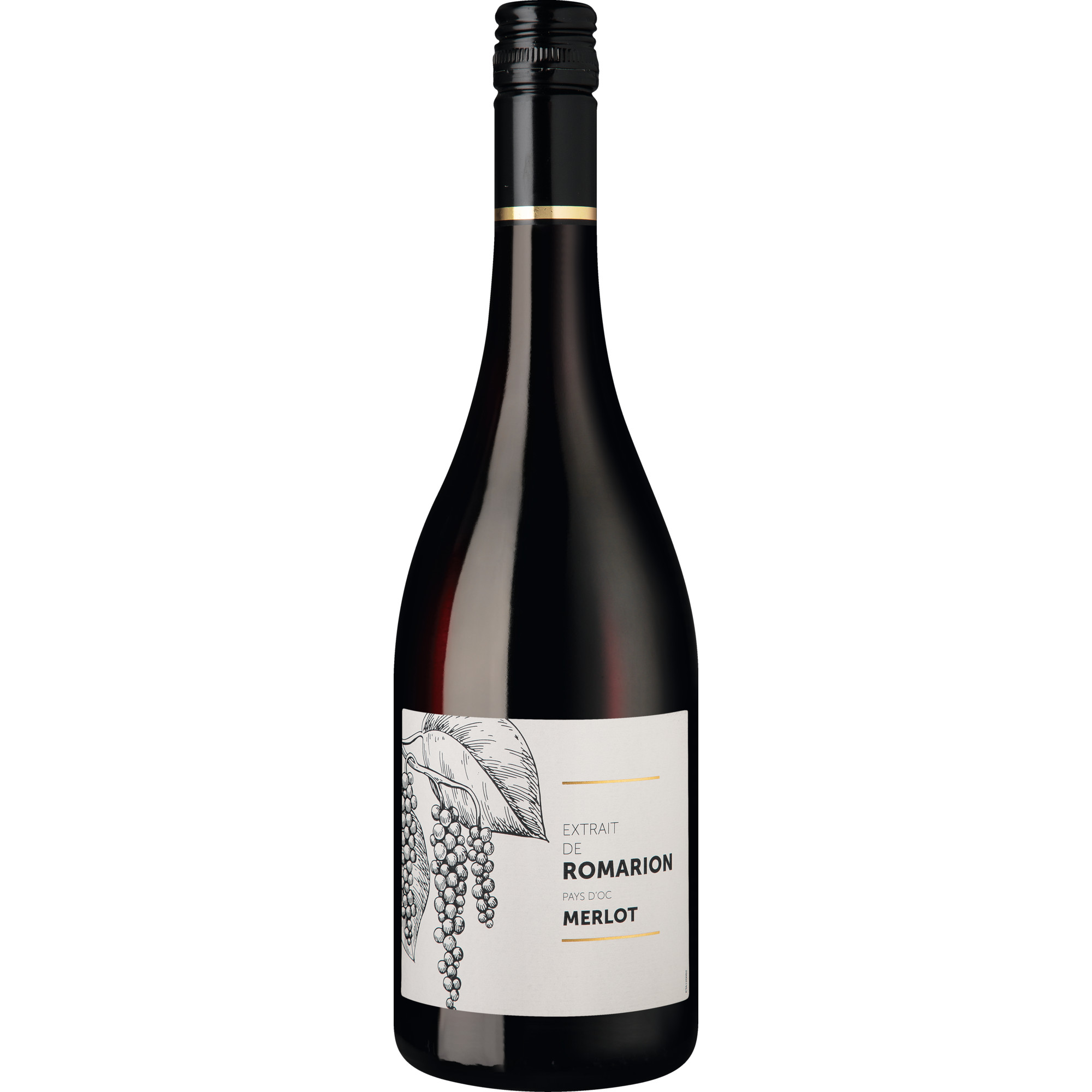 Extrait de Romarion Merlot, Pays d'Oc IGP, Languedoc-Roussillon, 2024, Rotwein