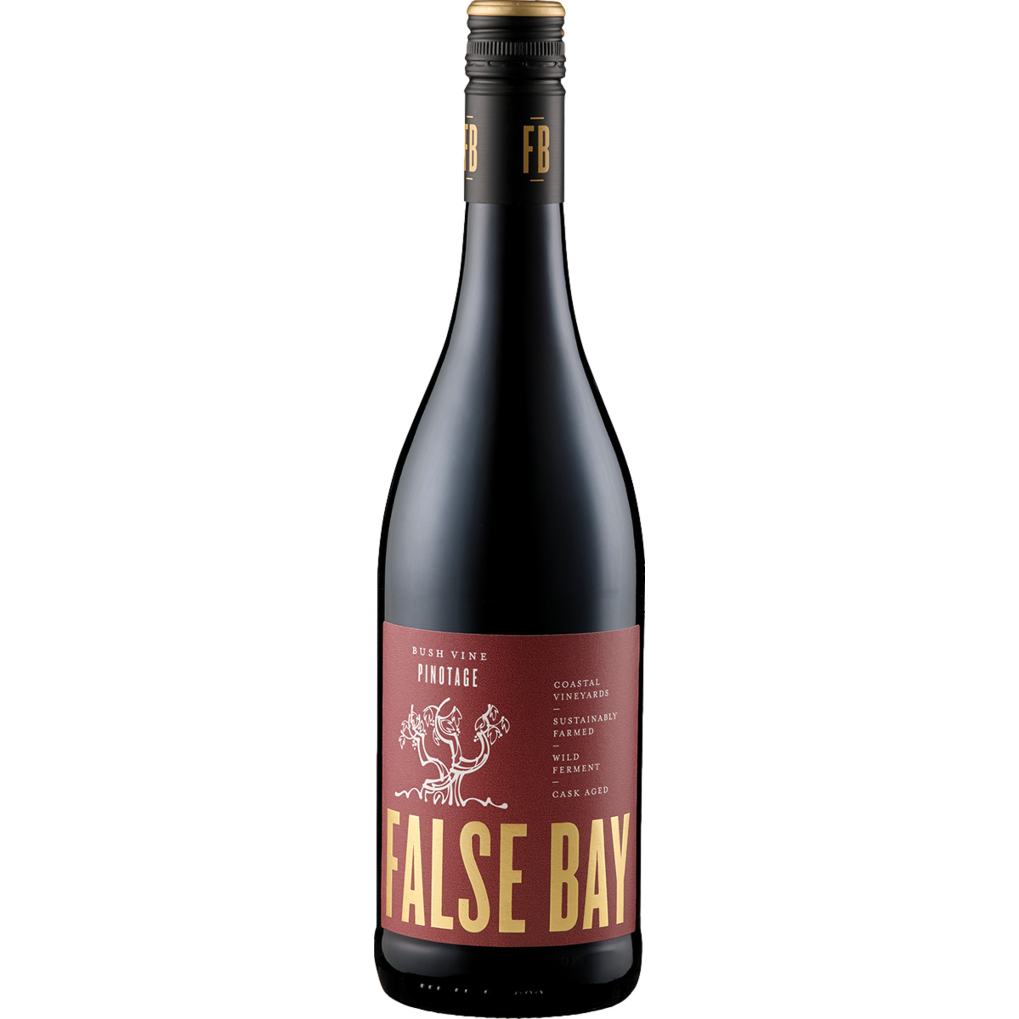 False Bay Bush Vine Pinotage, W.O. Cape South Coast, Cape South Coast, 2023, Rotwein