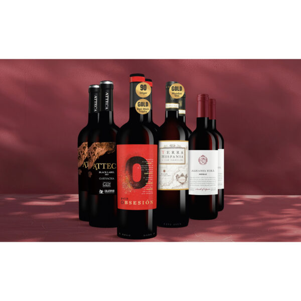 Festwein-Genießer-Paket 6L Weinpaket aus Spanien