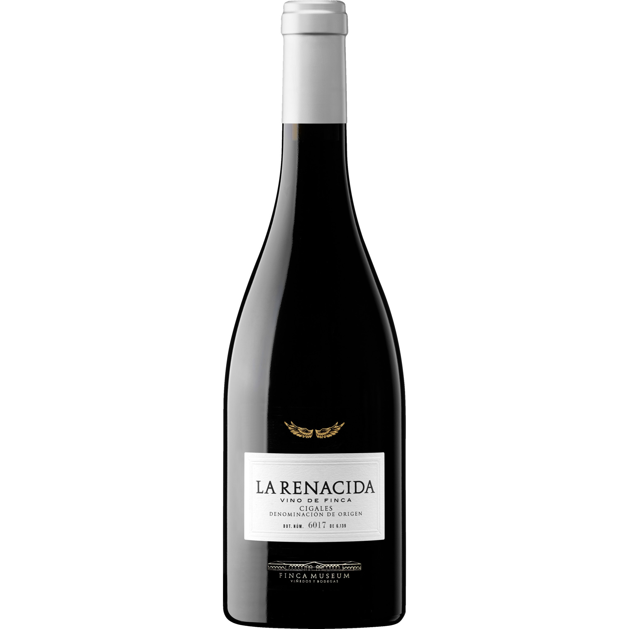 Finca Museum La Renacida, Cigales DO, Kastilien - León, 2020, Rotwein
