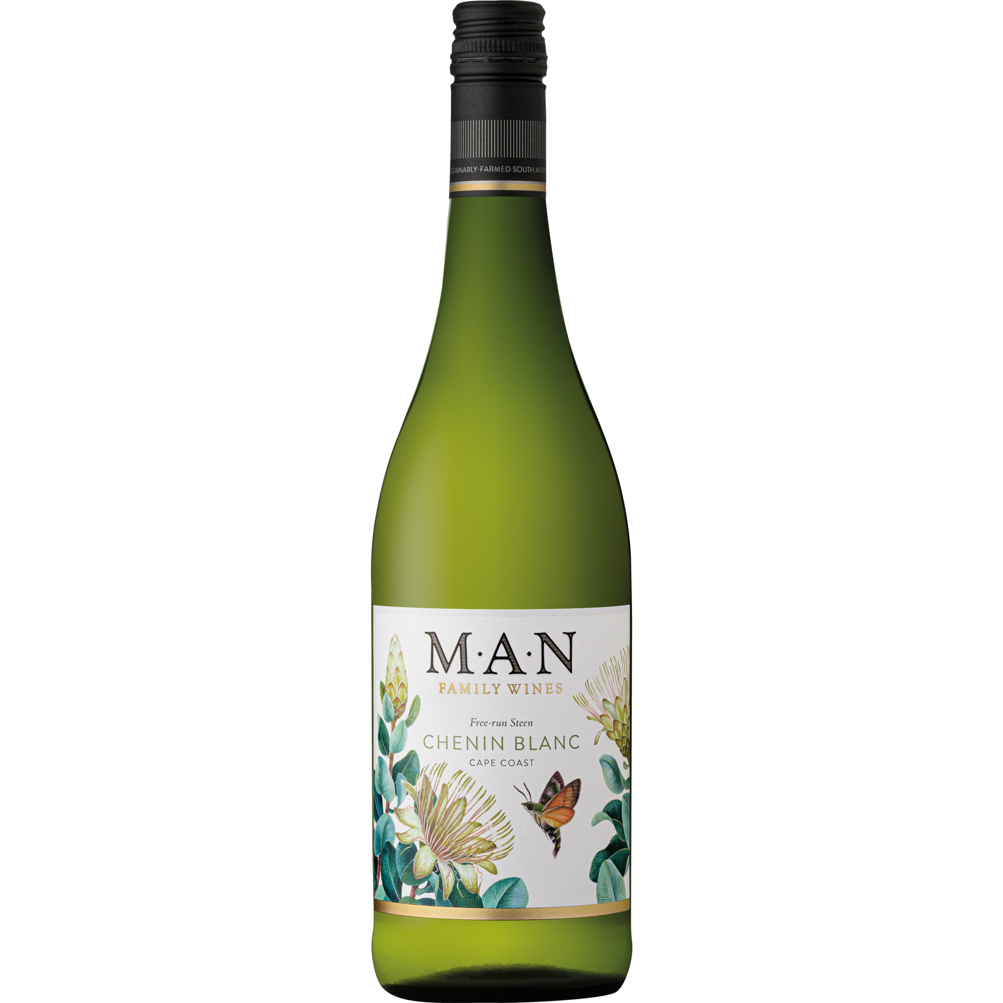 Free-run Steen Chenin Blanc, Cape Coast, Western Cape, Western Cape, 2026, Weißwein