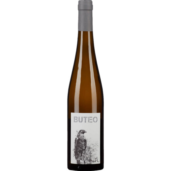 Gindl Buteo Bio, Trocken, Österreich, Niederösterreich, 2020, Weißwein