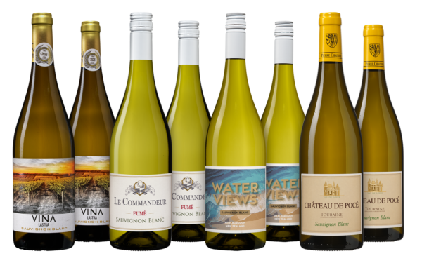 Großes Sauvignon Blanc Weinpaket - die Weinbörse