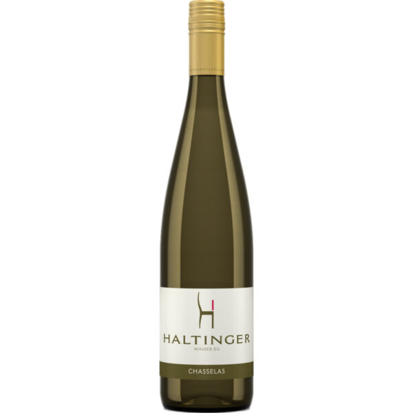Haltinger Winzer Chasselas QbA, Trocken, Baden, Baden, 2023, Weißwein