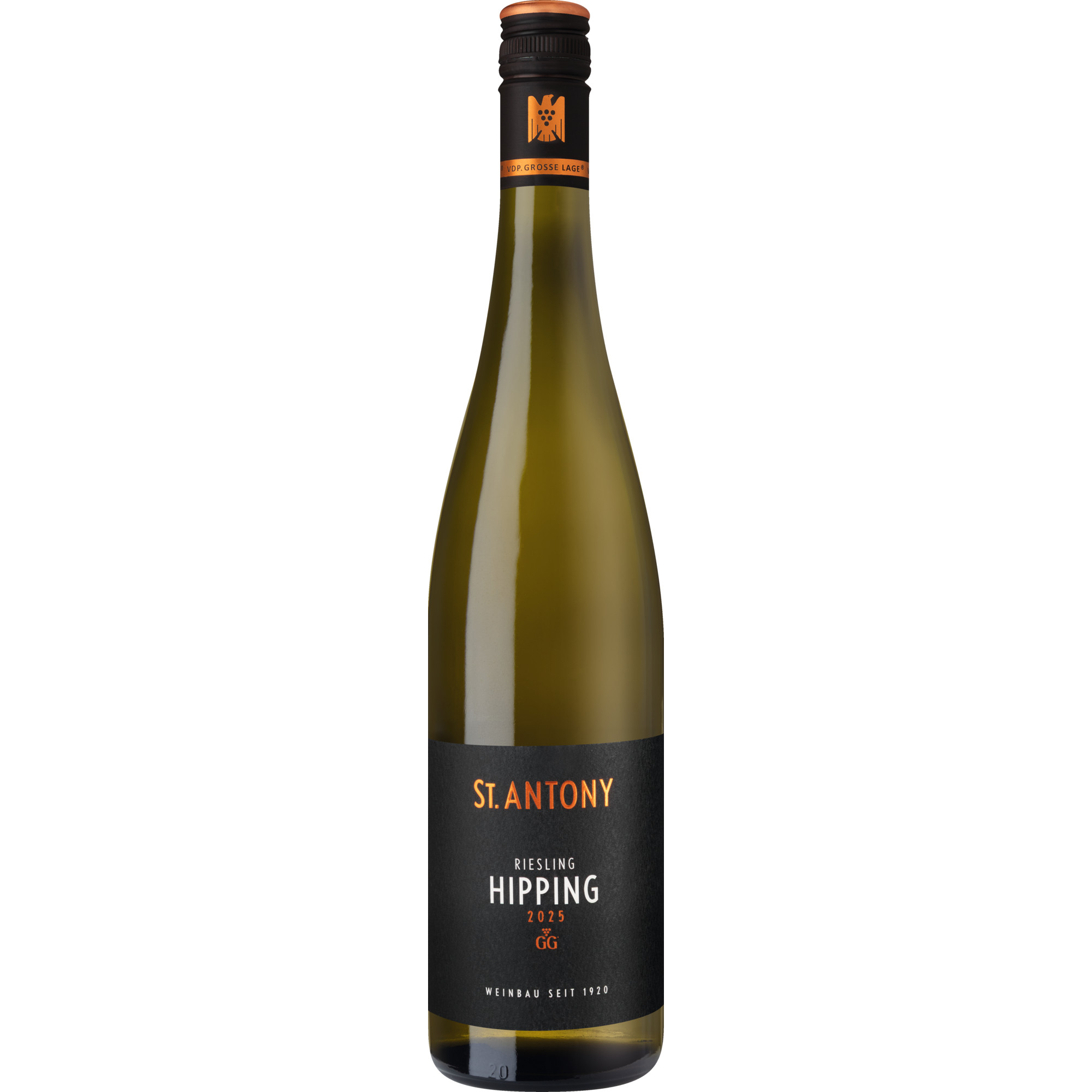 Hipping Riesling GG, Trocken, Rheinhessen, Rheinhessen, 2025, Weißwein