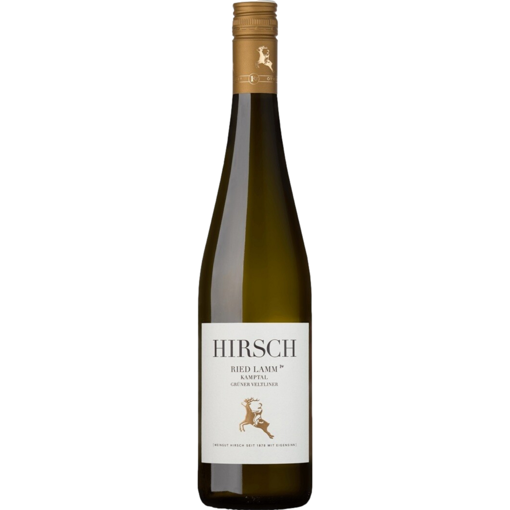 Hirsch Ried Lamm Grüner Veltliner 1. Lage, Trocken, Kamptal DAC, Niederösterreich, 2021, Weißwein
