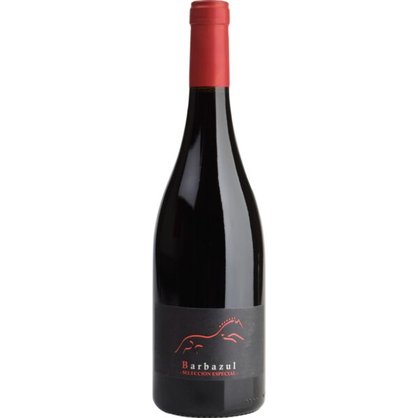 Huerta De Albala Barbazul Selección Especial, Tierra de Cadiz, Andalusien, 2020, Rotwein