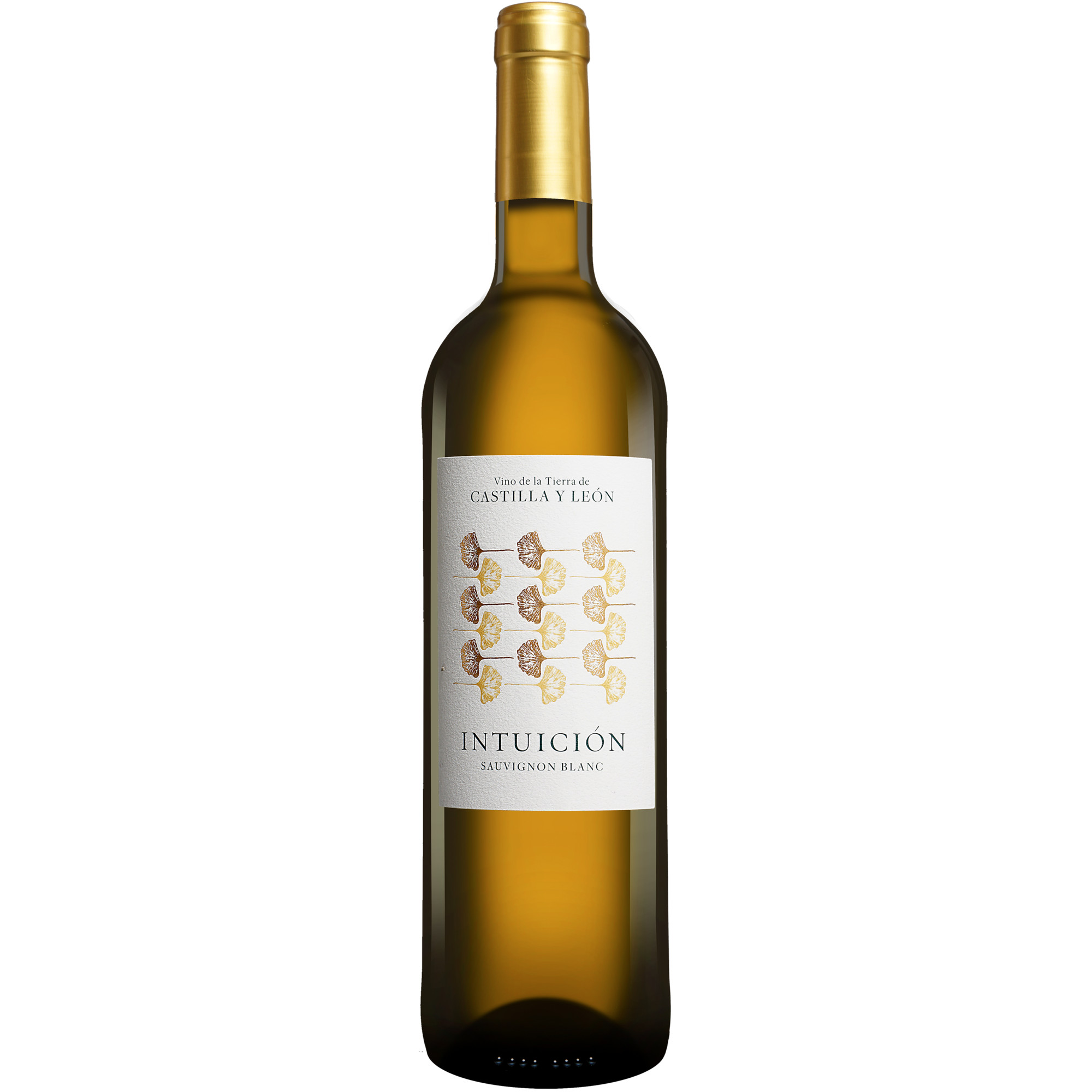 Intuición Sauvignon Blanc 2025 0.75L 12.5% Vol. Weißwein Trocken aus Spanien