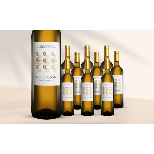Intuición Sauvignon Blanc 2025 7.5L 12.5% Vol. Weinpaket aus Spanien