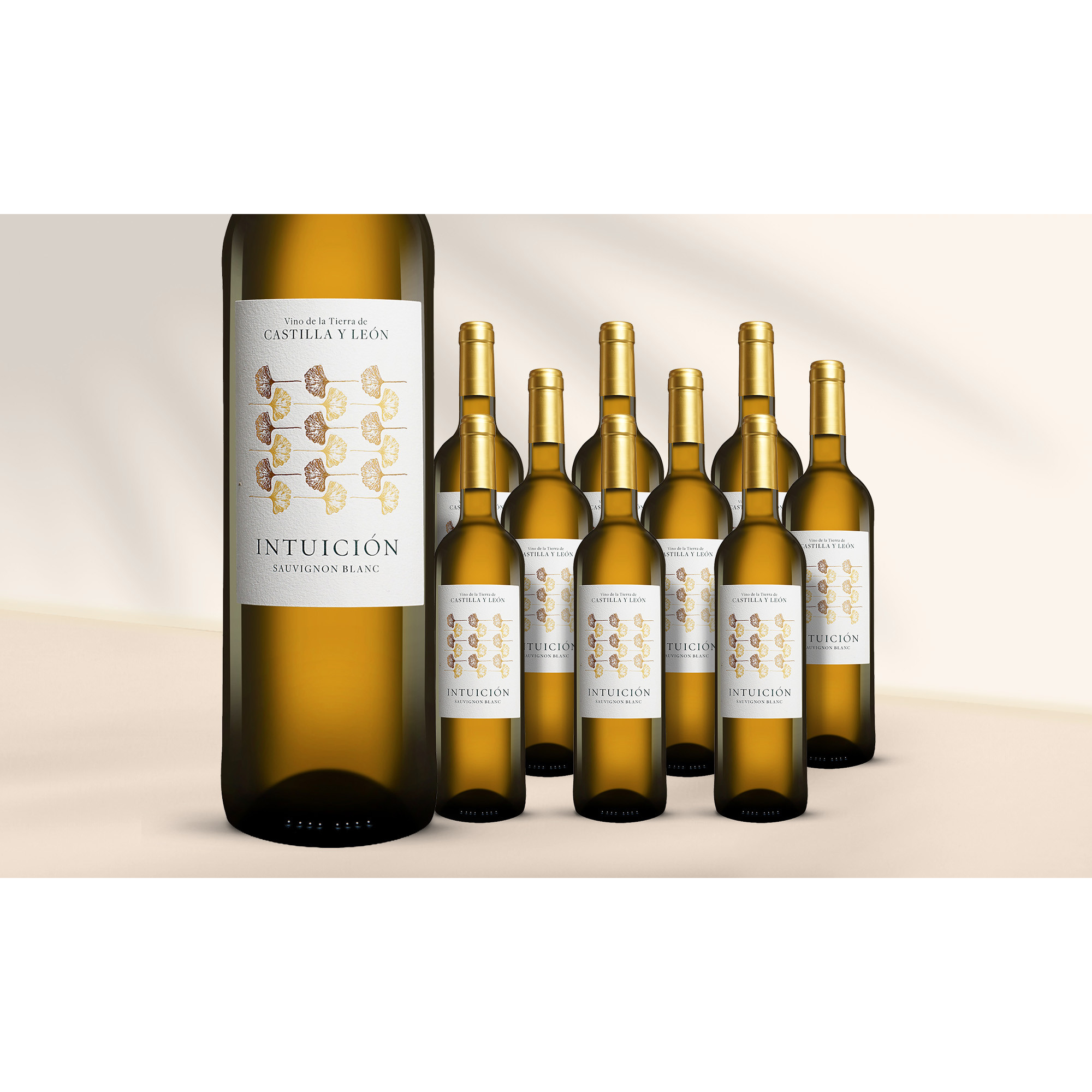 Intuición Sauvignon Blanc 2025 7.5L 12.5% Vol. Weinpaket aus Spanien