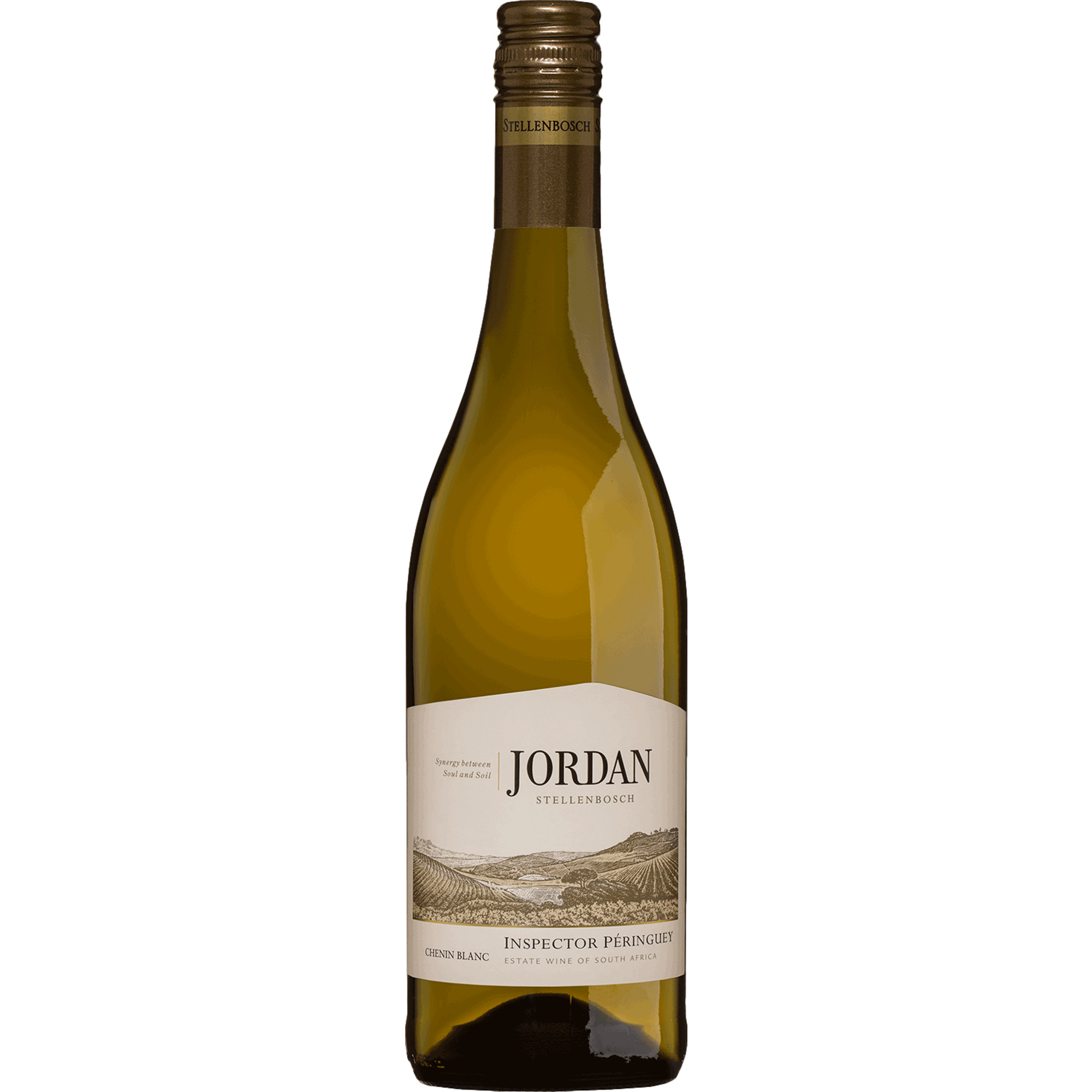 Jordan Inspector Péringuey Chenin Blanc, WO Stellenbosch, Western Cape, 2024, Weißwein