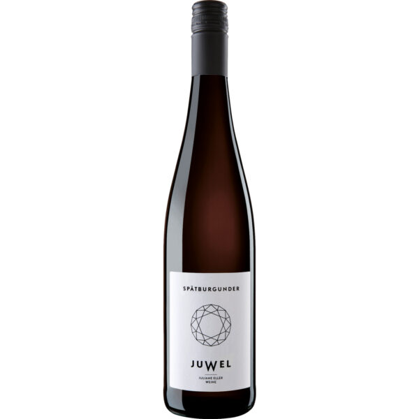 Juwel Spätburgunder, Trocken, Rheinhessen, Rheinhessen, 2023, Rotwein