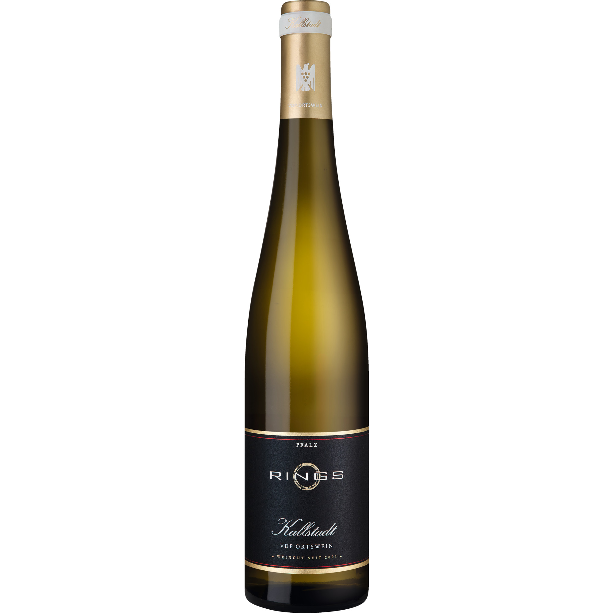Kallstadt Riesling, Trocken, Pfalz, Pfalz, 2025, Weißwein