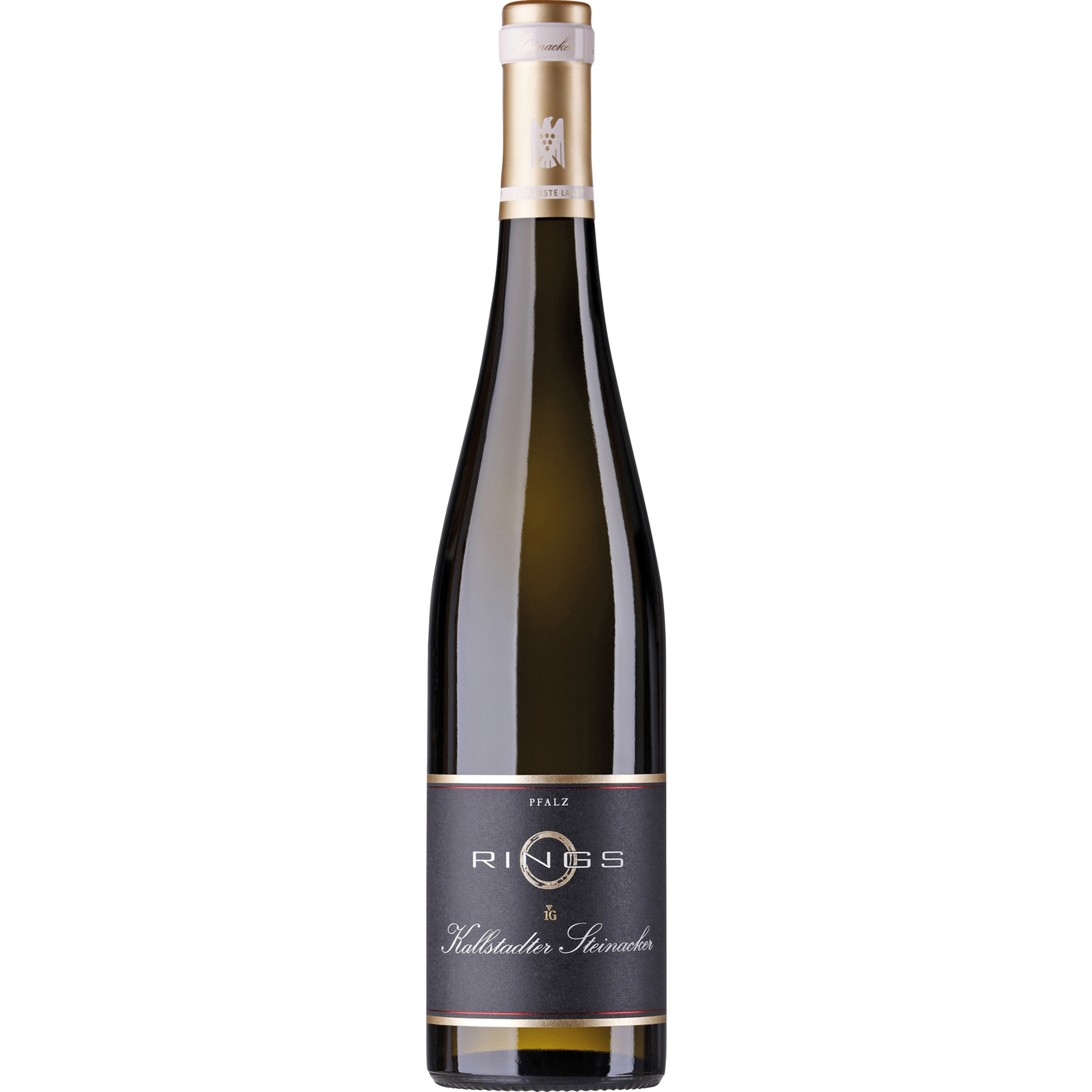 Kallstadter Steinacker Riesling, Trocken, Pfalz, Pfalz, 2024, Weißwein