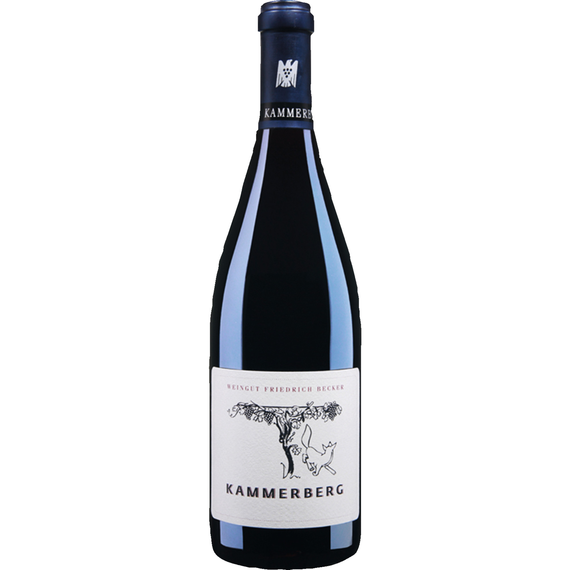Kammerberg Spätburgunder GG, Trocken, Pfalz, Pfalz, 2021, Rotwein