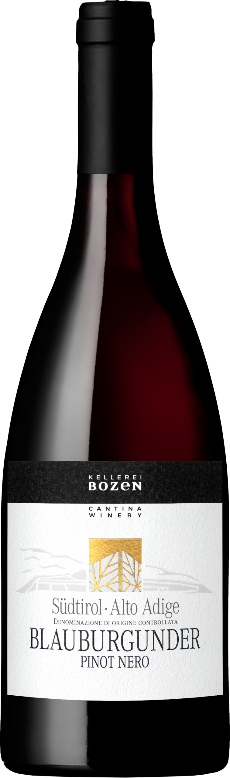 Kellerei Bozen Blauburgunder Pinot Nero DOC 2025