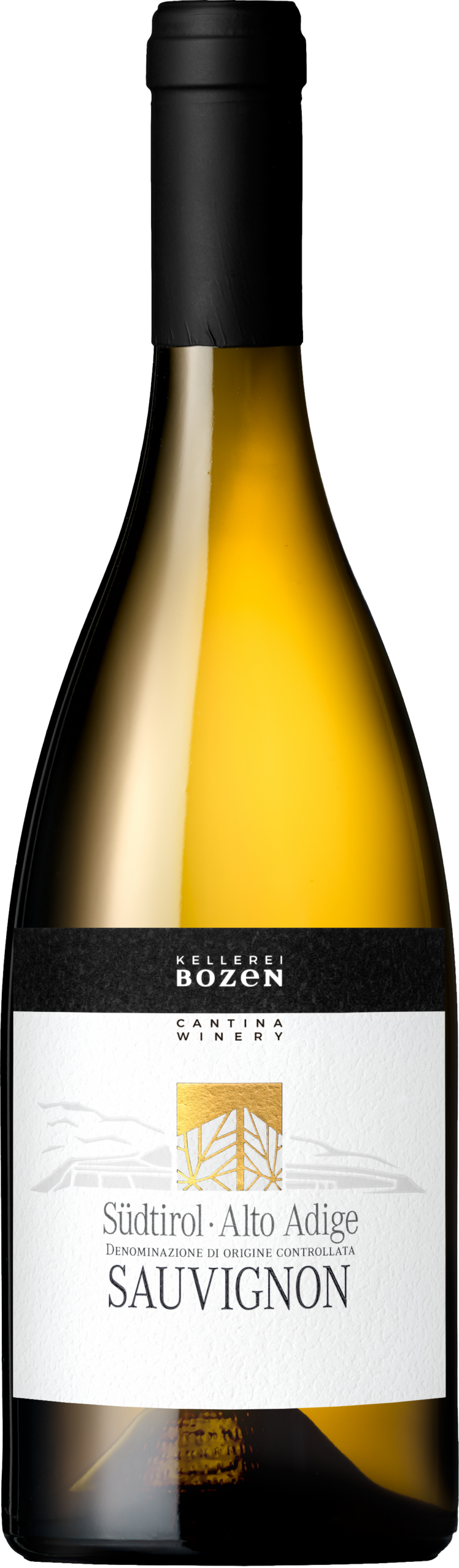 Kellerei Bozen Classici Sauvignon DOC 2025