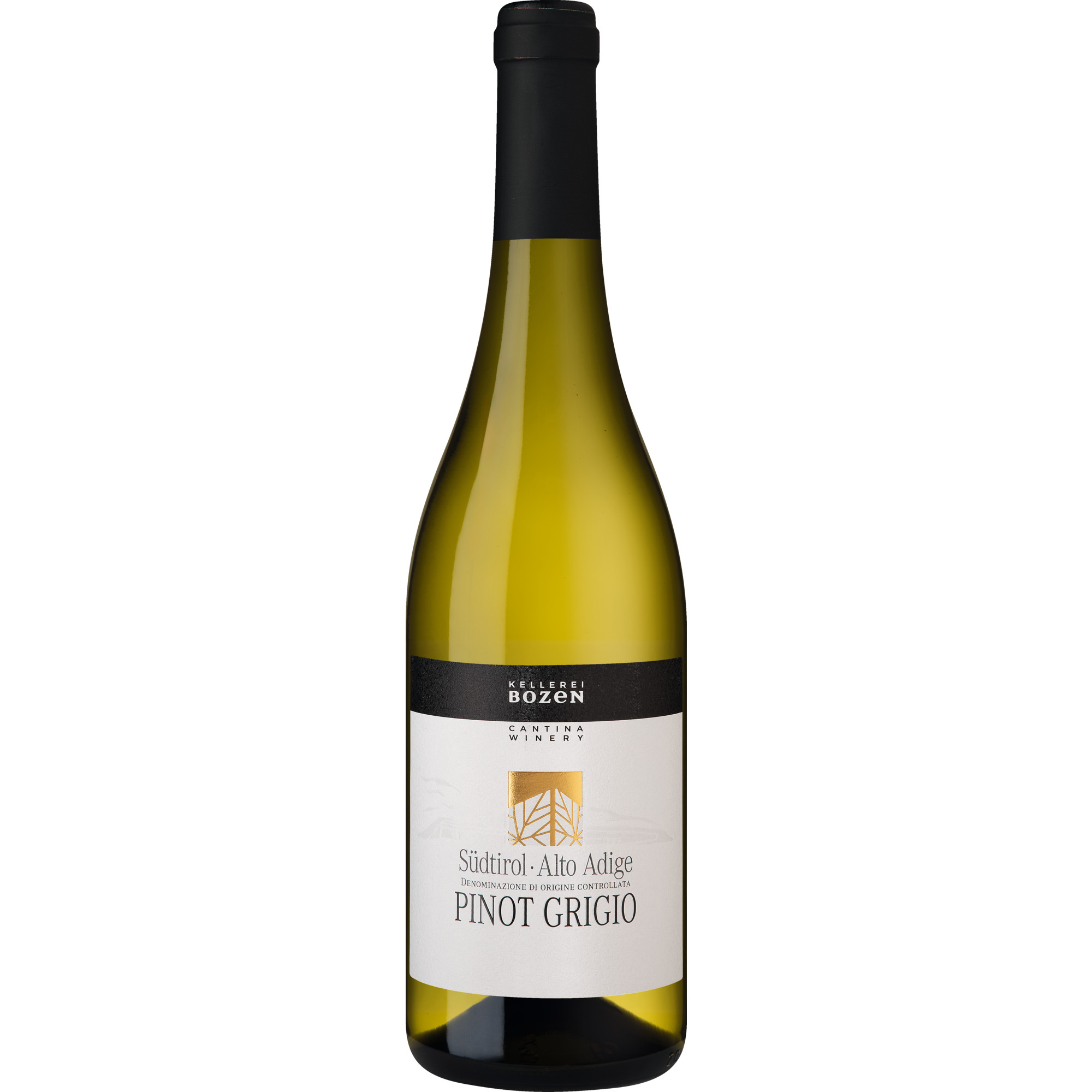 Kellerei Bozen Pinot Grigio, Alto Adige DOC, Trentino, 2025, Weißwein