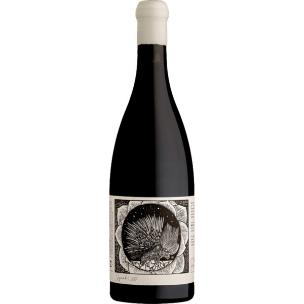 Kleine Zalze Project Z Syrah, Wine of South Africa, Western Cape, 2021, Rotwein