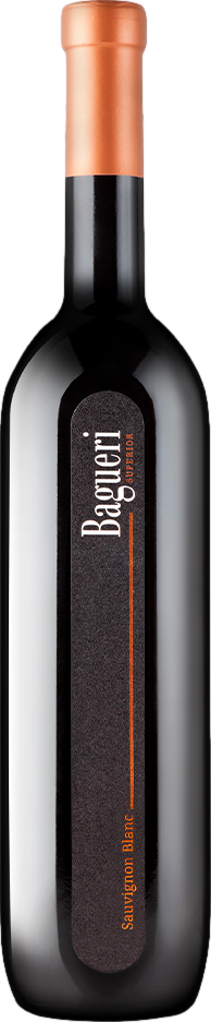 Klet Brda Bagueri Superior Sauvignon Blanc 2021