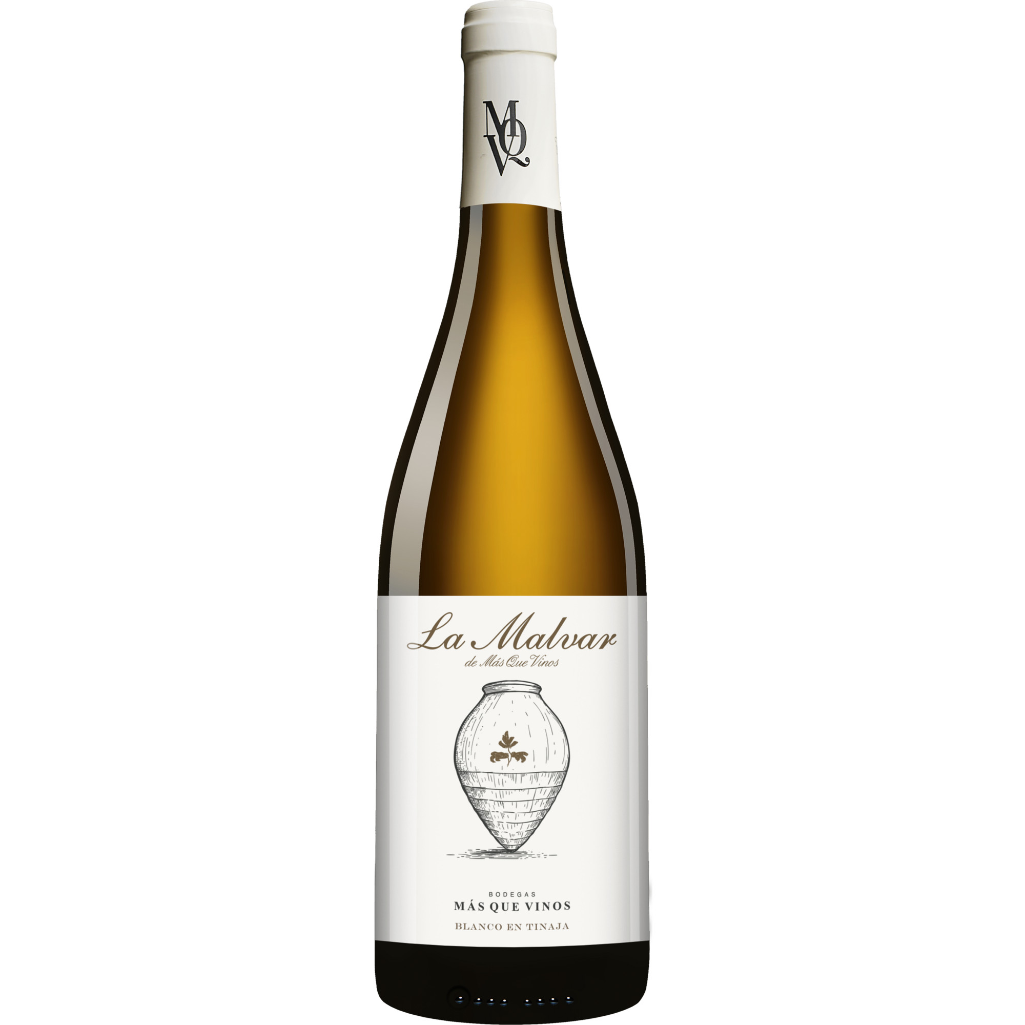 La Malvar 2024 0.75L 12.5% Vol. Weißwein Trocken aus Spanien