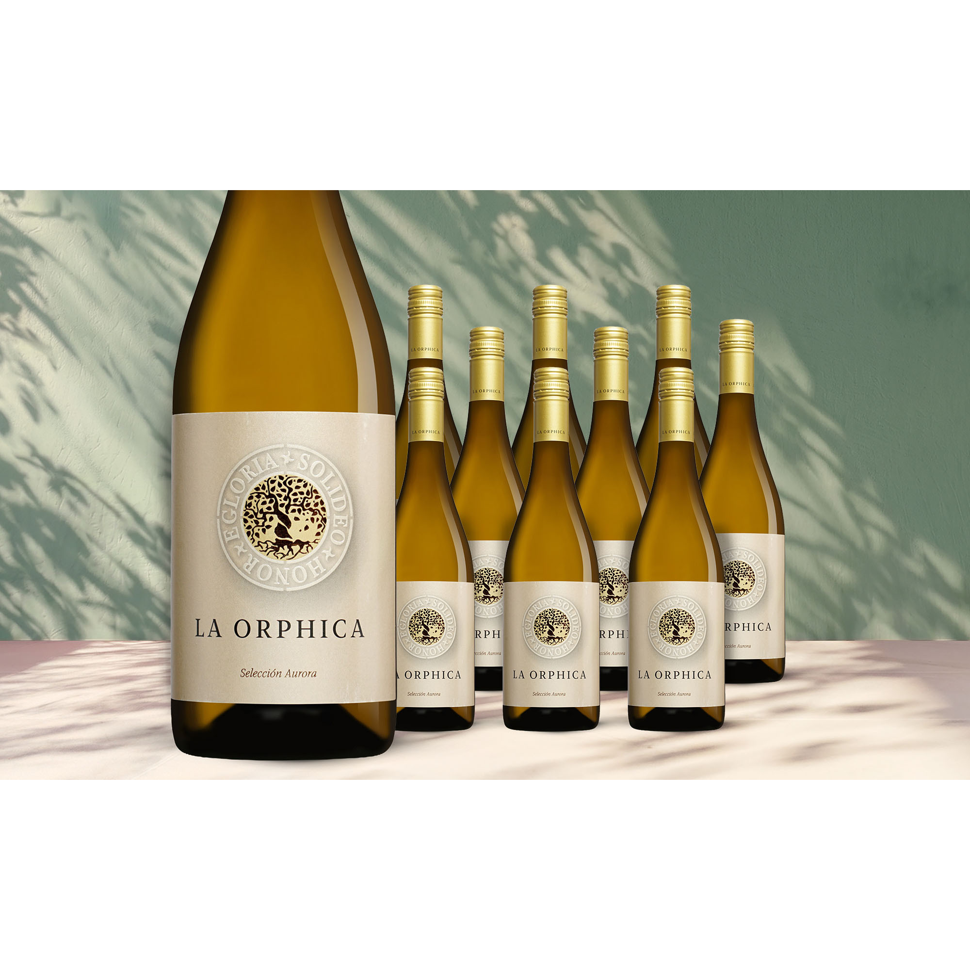 La Orphica Selección Aurora Blanco 2025 7.5L 12.5% Vol. Weinpaket aus Spanien