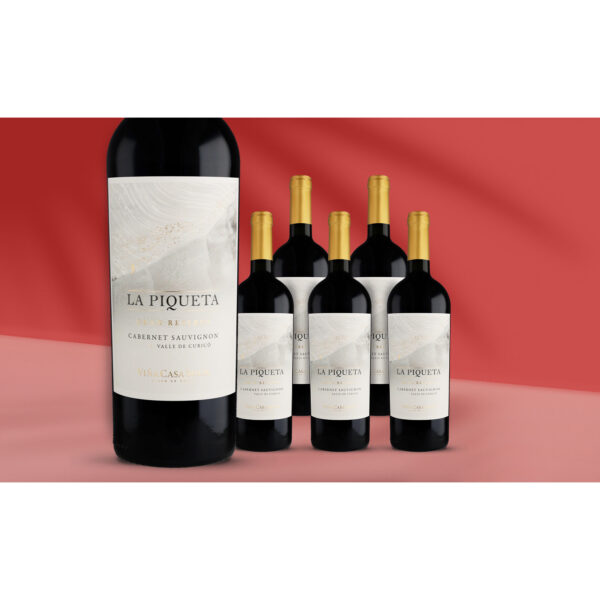 La Piqueta Cabernet Sauvignon Gran Reserva 2024 4.5L 13.5% Vol. Weinpaket aus Spanien