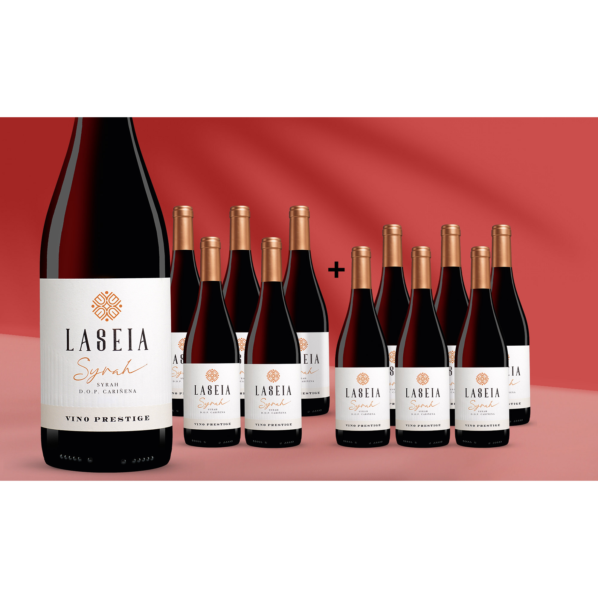 Laseia Syrah 2025 9L 13.5% Vol. Weinpaket aus Spanien