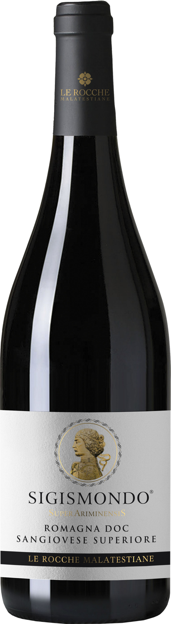 Le Rocche Malatestiane Sigismondo Sangiovese di Romagna Superiore DOC 2021