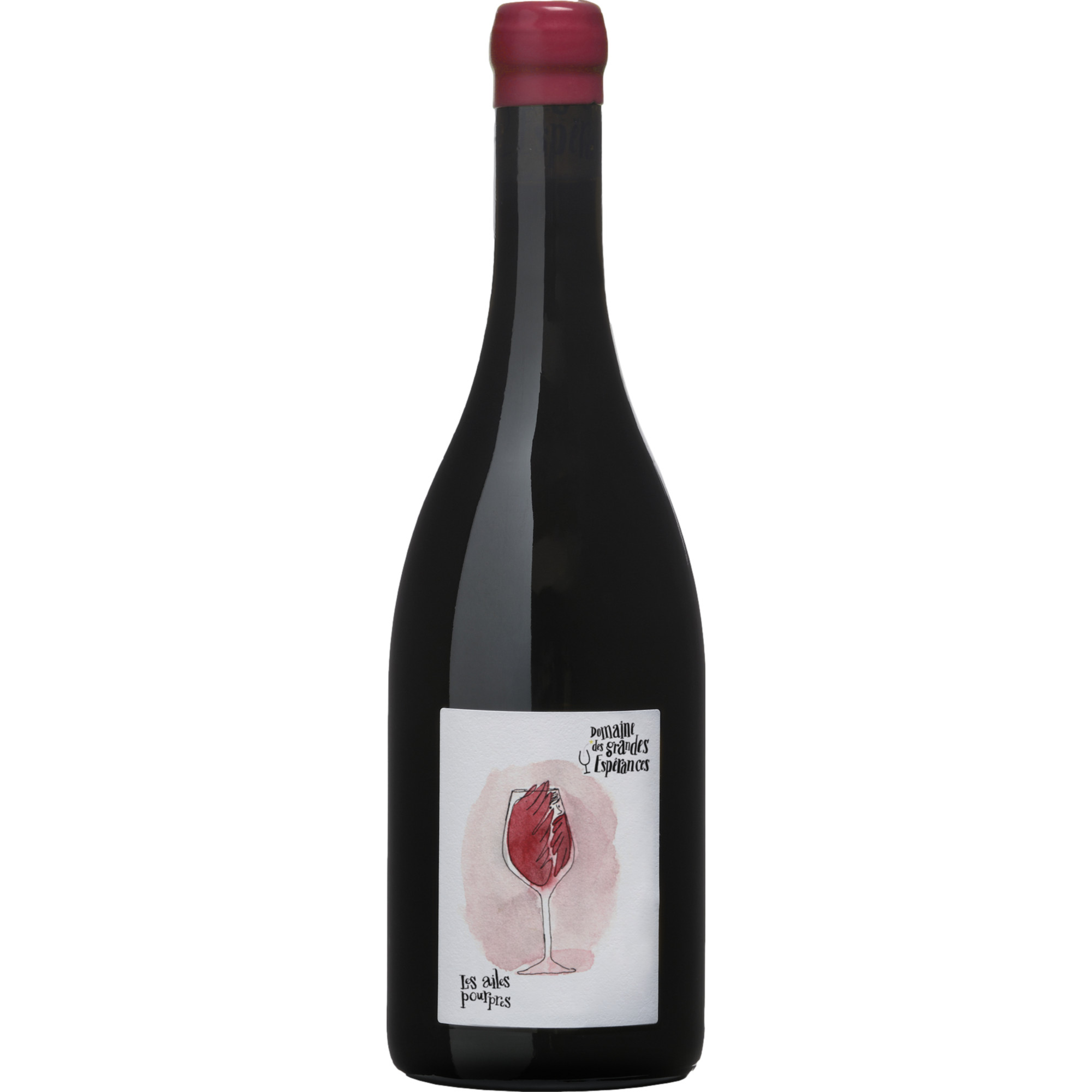 Les Ailes Pourpres Cabernet Franc, Touraine AOP, Loire, 2014, Rotwein