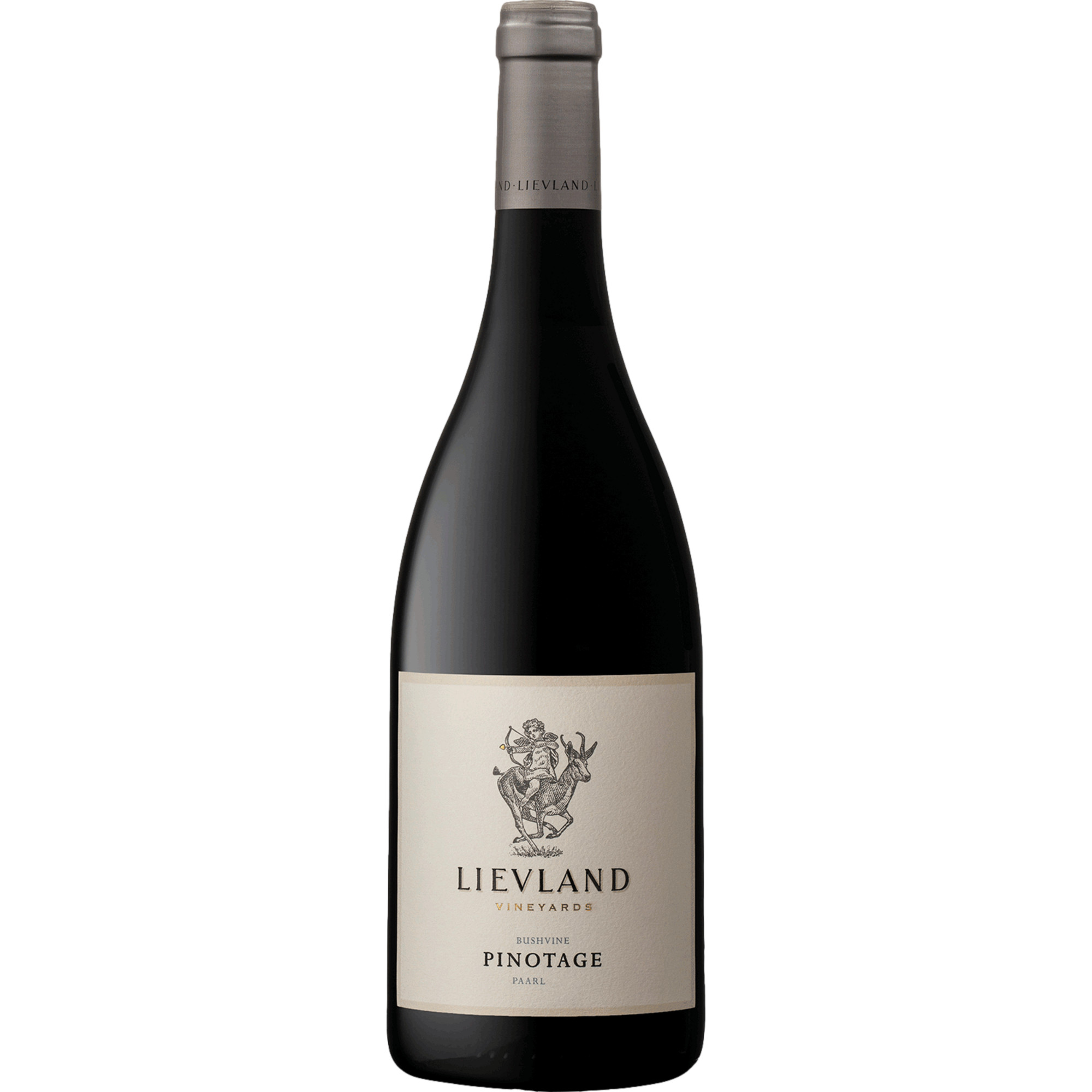 Lievland Pinotage Bushvine, WO Stellenbosch, Western Cape, 2023, Rotwein