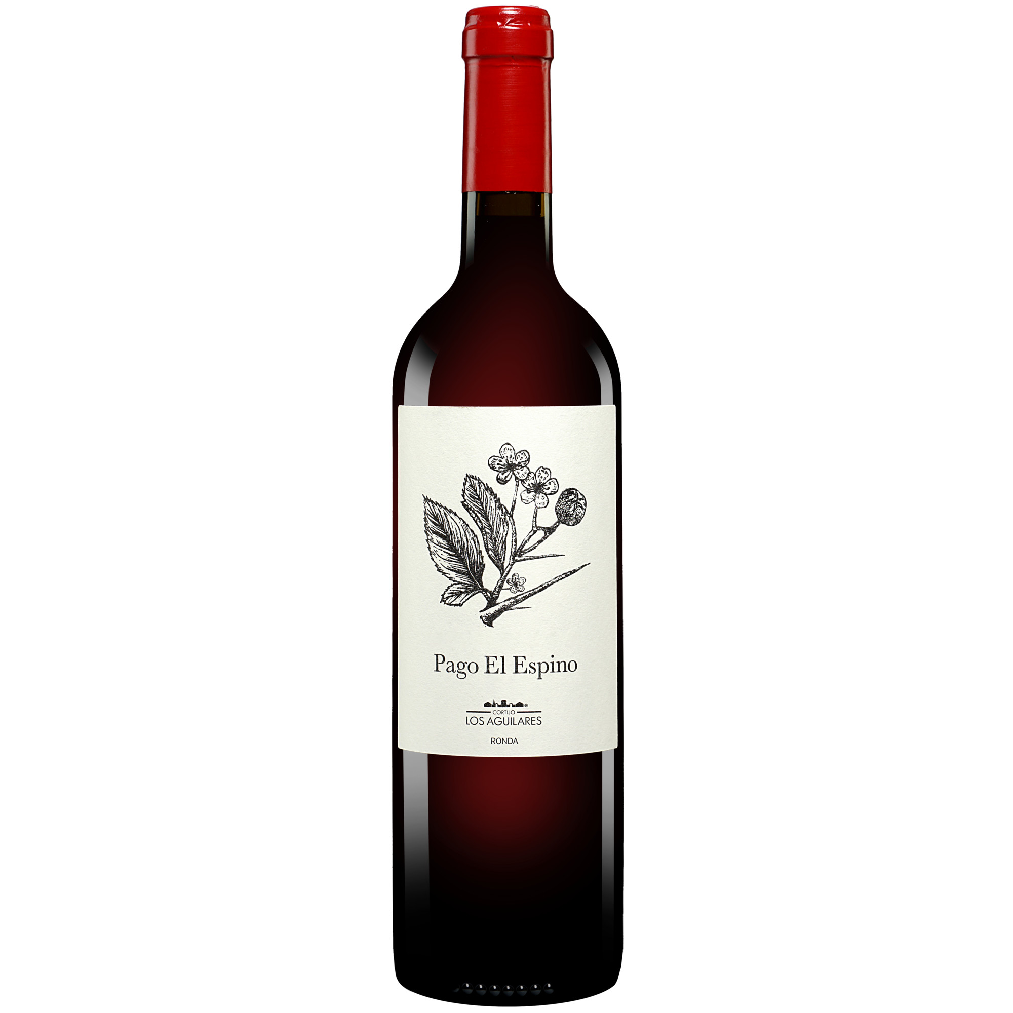 Los Aguilares »Pago el Espino« 2024 0.75L 14% Vol. Rotwein Trocken aus Spanien