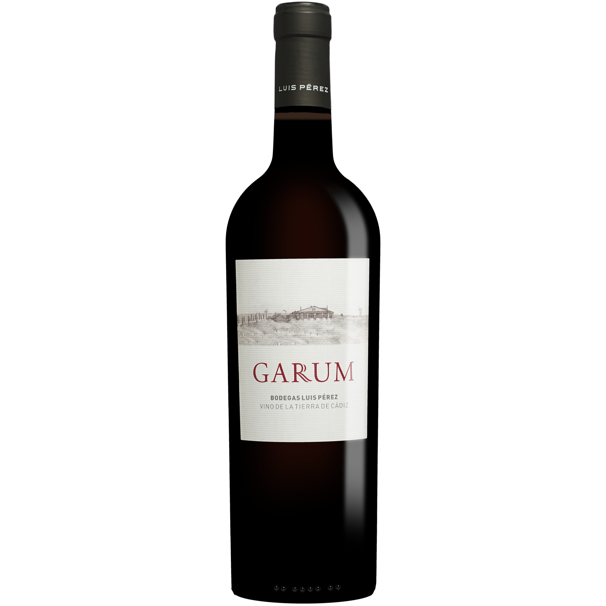Luis Pérez »Garum« 2024 0.75L 14.5% Vol. Rotwein Trocken aus Spanien
