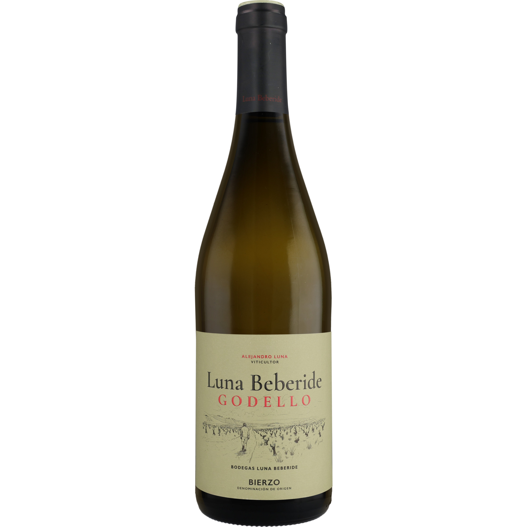 Luna Beberide Godello 2025 0.75L 12% Vol. Weißwein Trocken aus Spanien