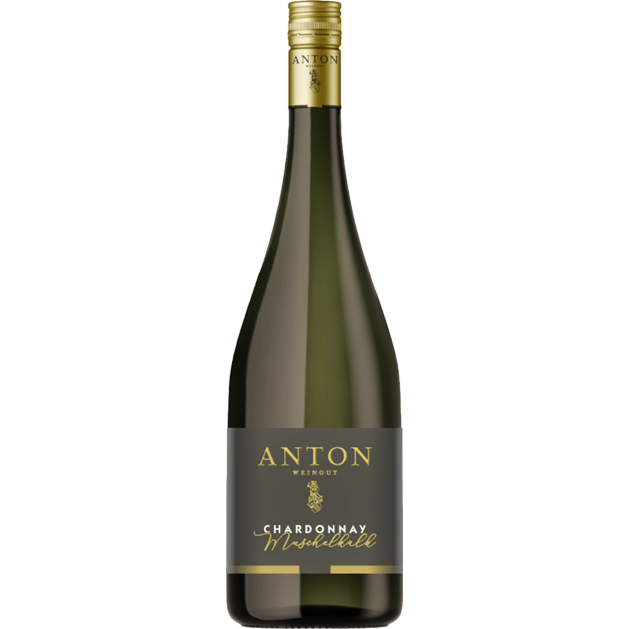 Matthias Anton Chardonnay vom Muschelkalk, Trocken, Pfalz, Pfalz, 2024, Weißwein