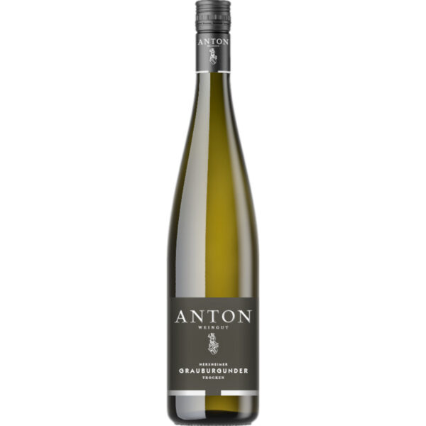 Matthias Anton Grauburgunder, Trocken, Pfalz, Pfalz, 2025, Weißwein