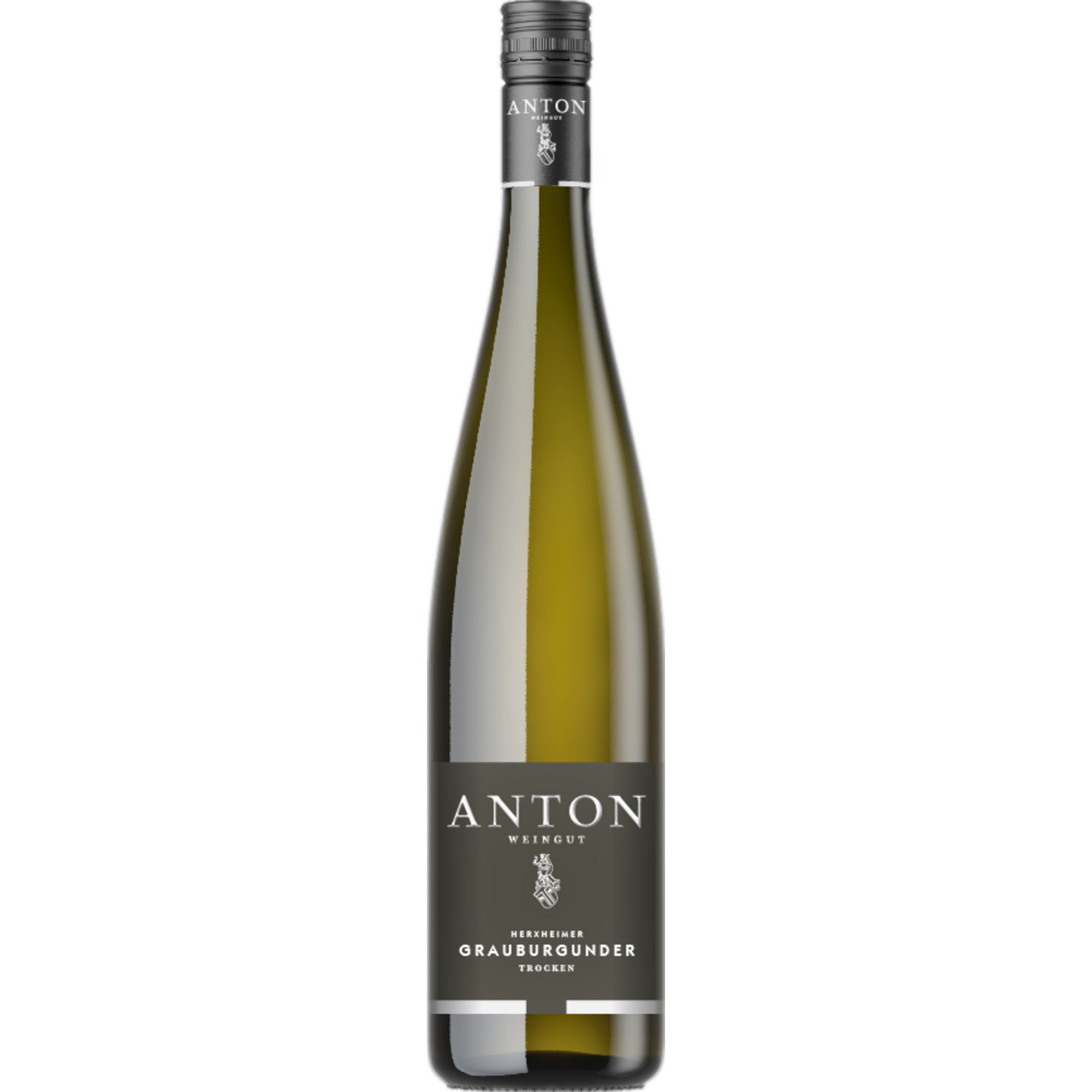 Matthias Anton Grauburgunder, Trocken, Pfalz, Pfalz, 2025, Weißwein