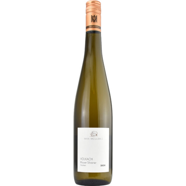 Max Müller Volkach Blauer Silvaner, Trocken, Franken, Franken, Weißwein