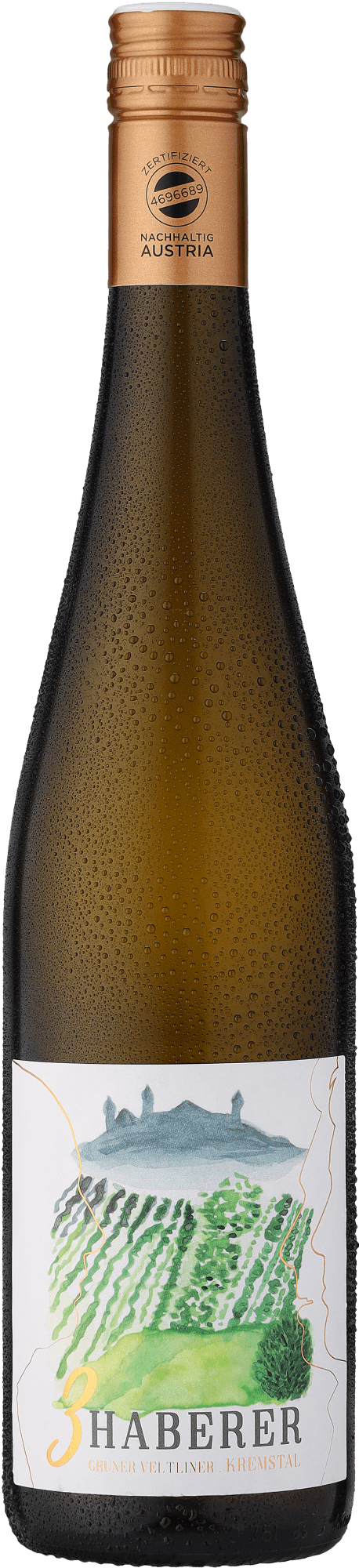 Müller »3 Haberer« Grüner Veltliner
