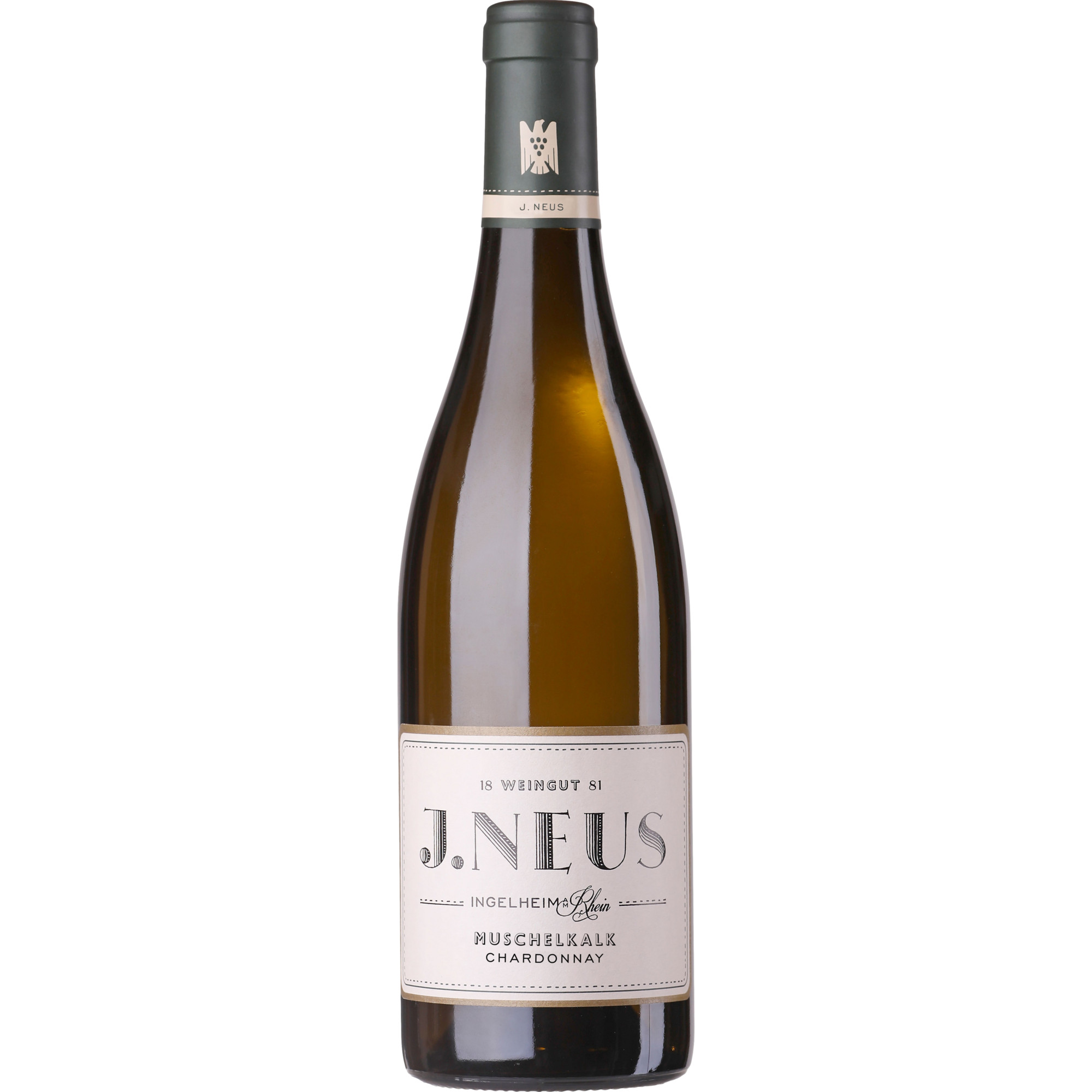 Muschelkalk Chardonnay, Trocken, Rheinhessen, Rheinhessen, 2023, Weißwein