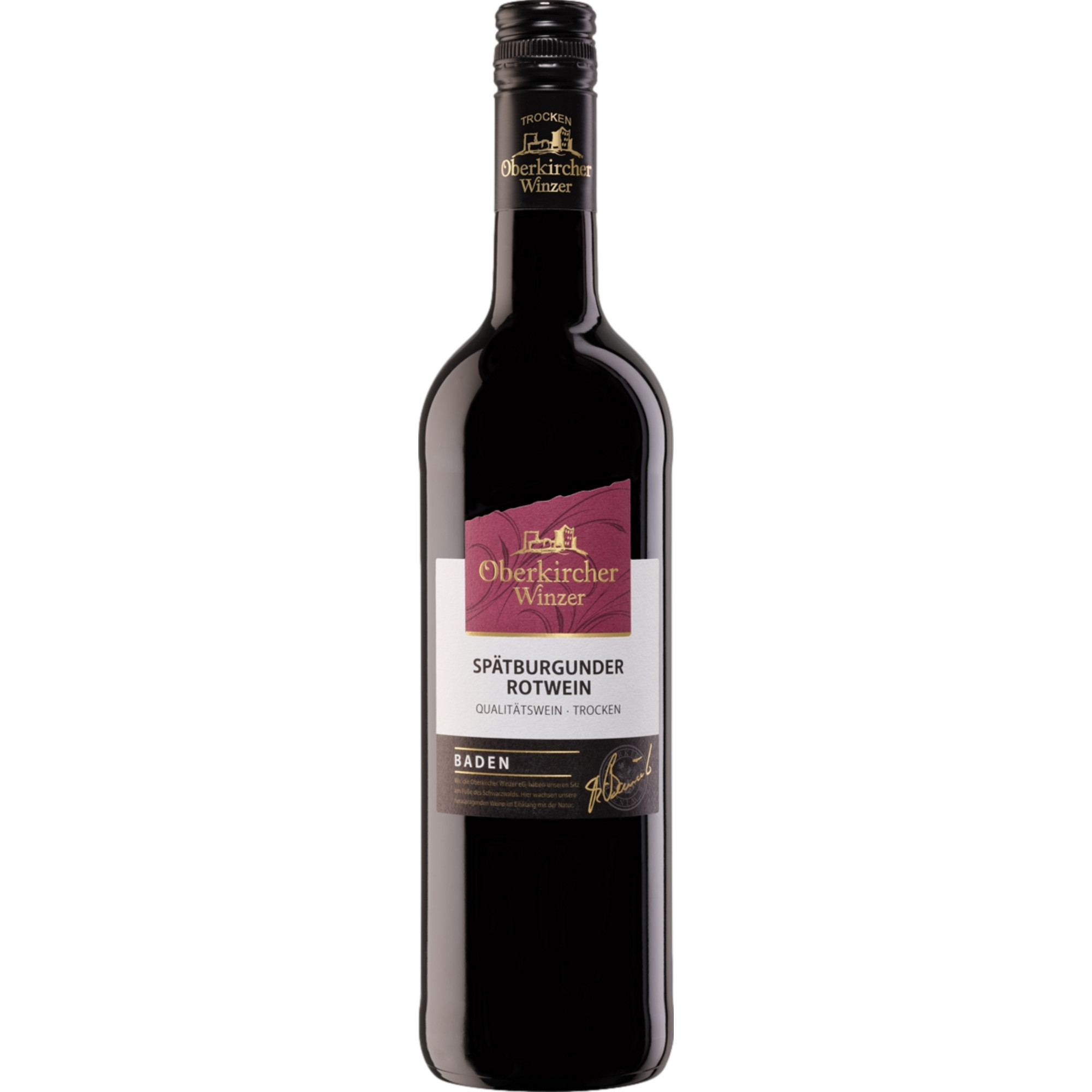 Oberkircher Spätburgunder QbA, Trocken, Baden, Baden, 2023, Rotwein