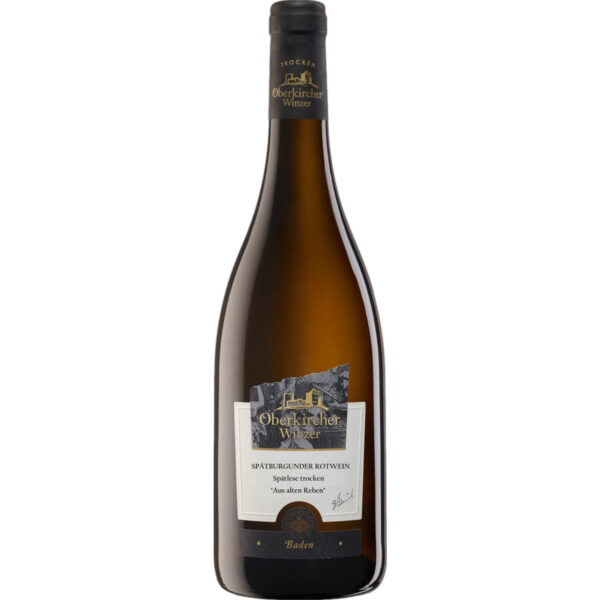 Oberkircher Spätburgunder Spätlese, Trocken, Baden, Baden, 2024, Rotwein