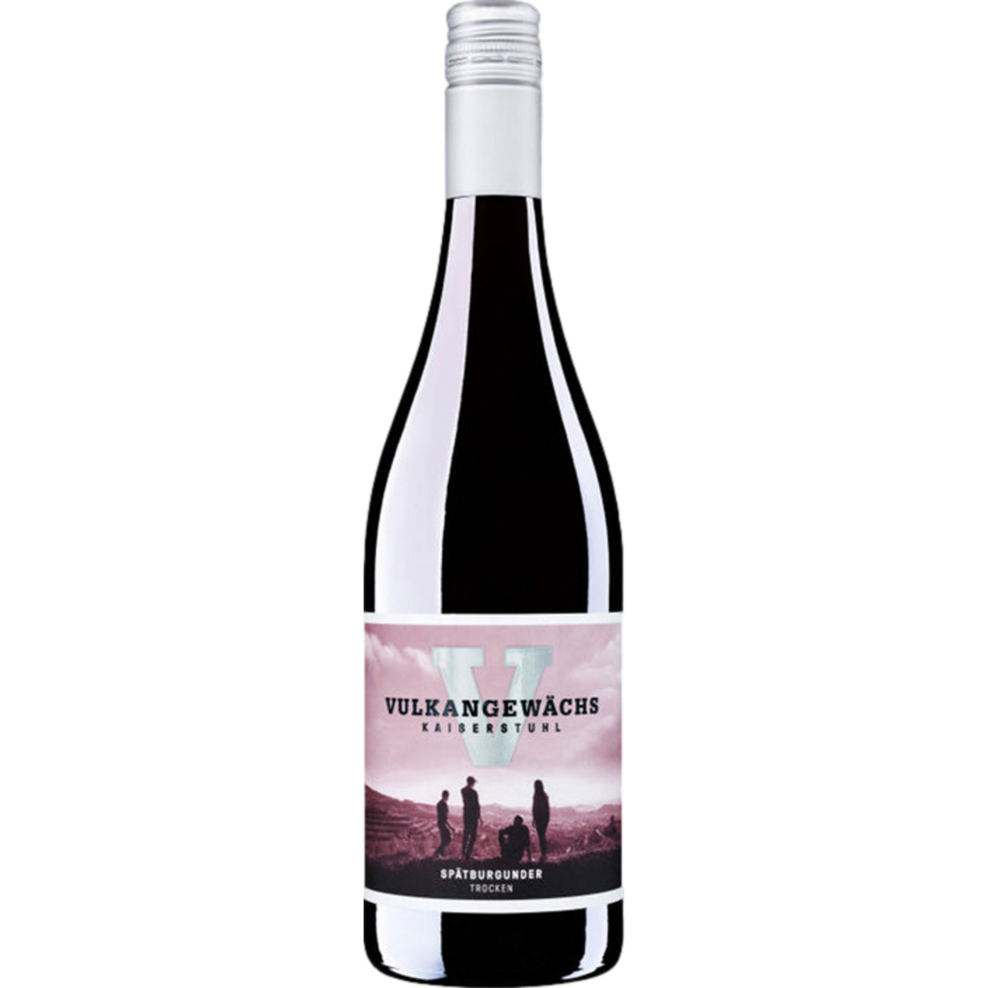 Oberrotweiler Vulkangewächs Spätburgunder, Trocken, Baden, Baden, 2024, Rotwein